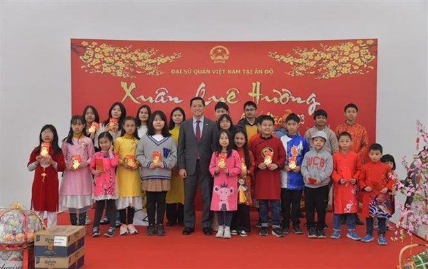 Tet gatherings held abroad by Vietnamese embassies hinh anh 2