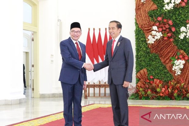 Malaysian companies interested in Indonesia’s new capital hinh anh 1