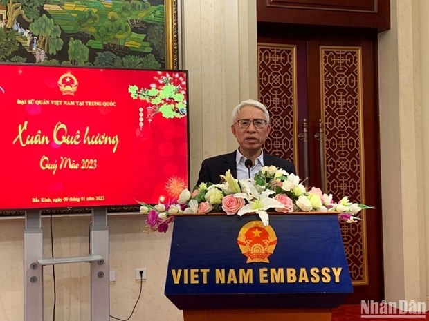 Vietnamese people in China, Cambodia mark Lunar New Year hinh anh 1