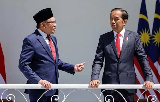 Malaysia prioritises promoting relations with Indonesia hinh anh 1