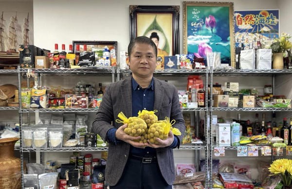 Quality key for Vietnamese longan to Japanese market: expert hinh anh 2