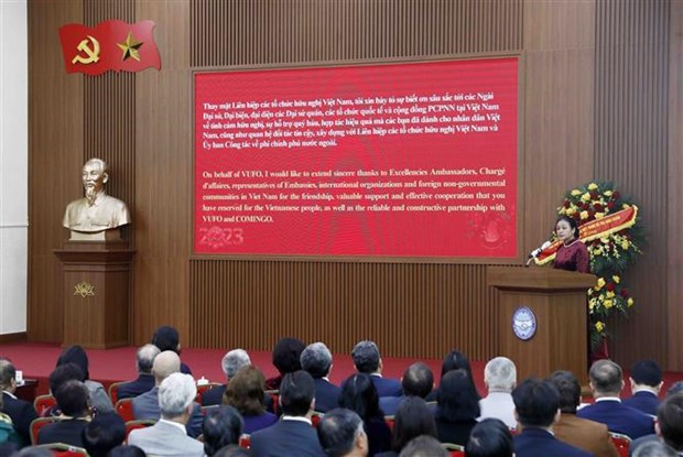 People-to-people diplomacy greatly contributes to national development hinh anh 2