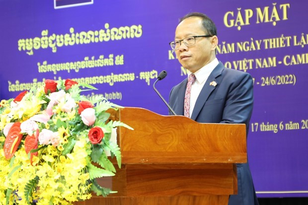 VUFO presents insignia to outgoing Cambodian Ambassador hinh anh 1