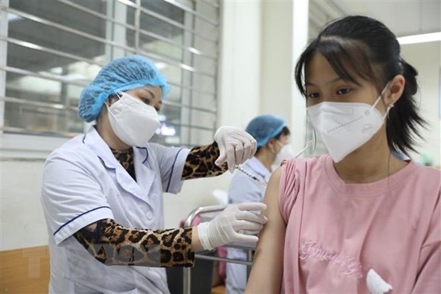 Health ministry asked to closely monitor domestic, int’l pandemic situation hinh anh 1