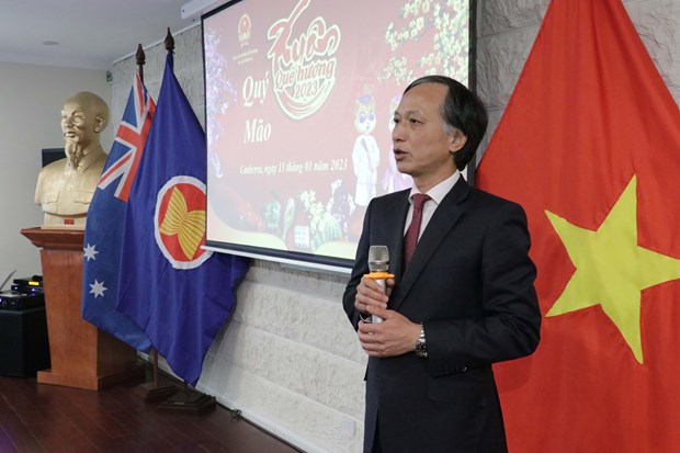 Overseas Vietnamese gather in Tet celebrations hinh anh 1