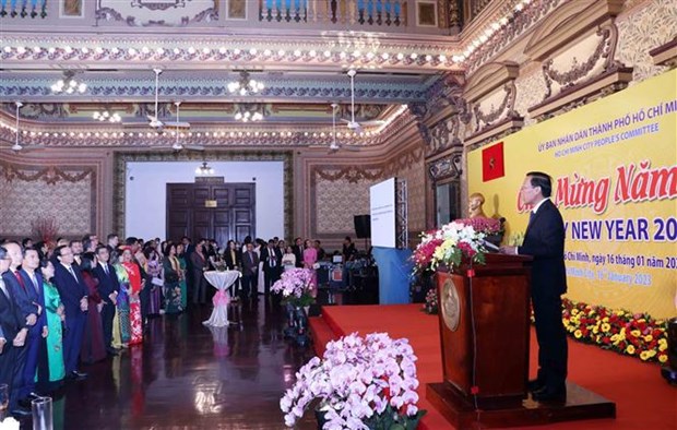 HCM City leaders meets diplomatic corps, foreign businesses hinh anh 2