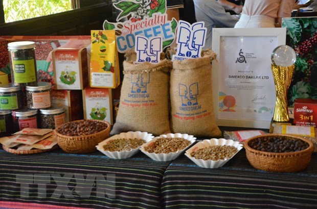 Buon Ma Thuot strives to become world’s coffee city hinh anh 1