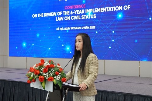 Vietnam makes great efforts in modernization of civil registration: UNFPA Representative hinh anh 1