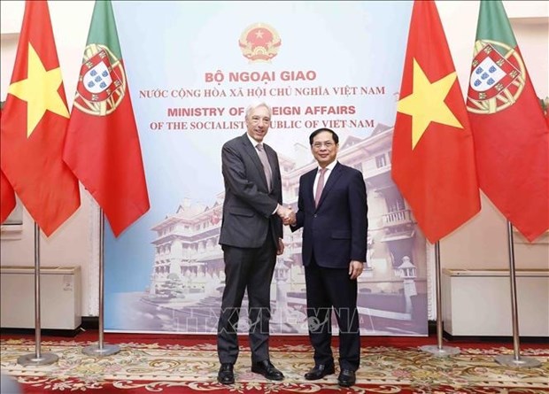 Foreign Minister holds talks with Portuguese counterpart hinh anh 1