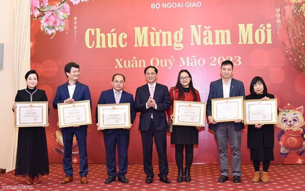 External information service contributes to national achievements: Minister hinh anh 1