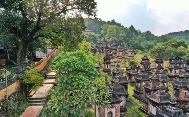 Centuries-old Bo Da pagoda stuns pilgrims hinh anh 1