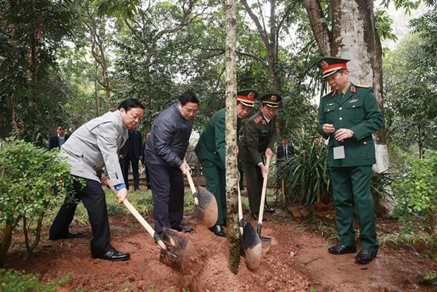Prime Minister launches New Year tree planting festival hinh anh 3