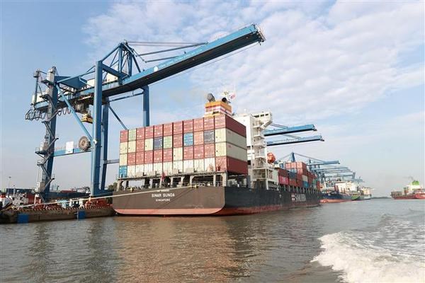 PM launches lunar new year operations of Tan Cang-Cat Lai port hinh anh 2