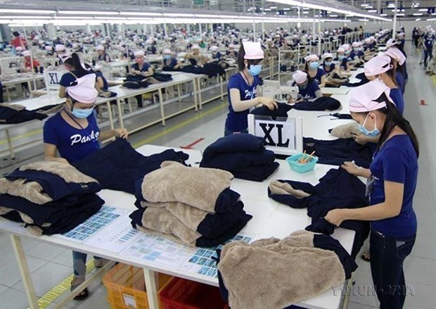 Majority back to work after Tet in southern industrial hubs hinh anh 1