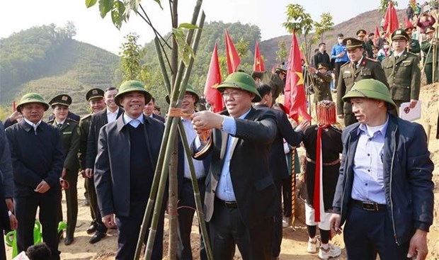 NA leader launches emulation drive, tree planting festival in Tuyen Quang hinh anh 1