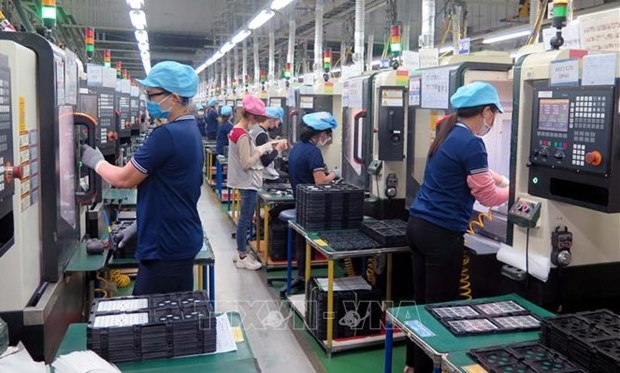 Newly-established businesses drop nearly 17% in January hinh anh 1