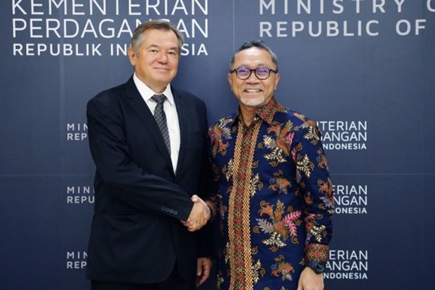 Indonesia boosts cooperation with Eurasian Economic Union hinh anh 1