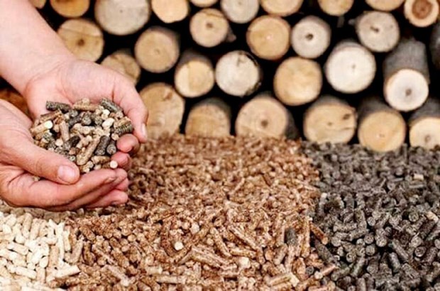 Bright future for wood pellet exports: experts hinh anh 1