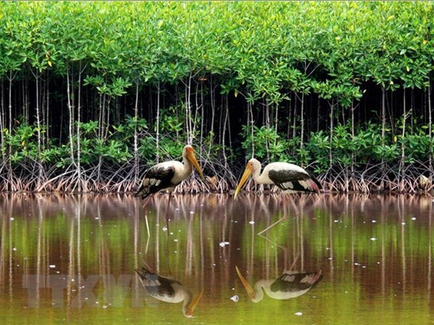 World Wetlands Day 2023 to be observed in Vietnam with various activities hinh anh 3