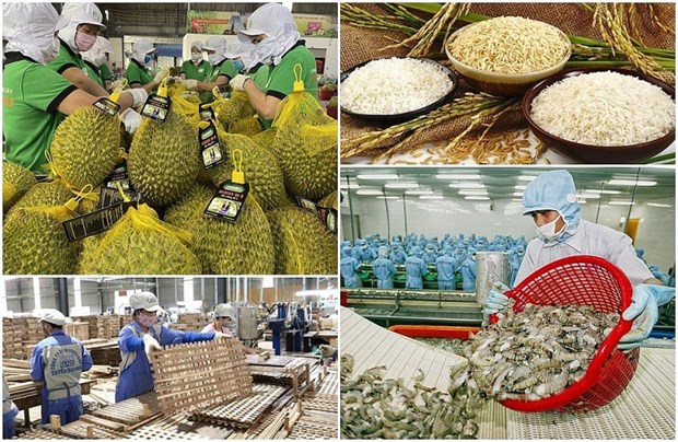 Businesses, farmers team up for sustainable growth hinh anh 2