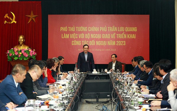 Foreign ministry asked to optimise opportunities for national development hinh anh 1
