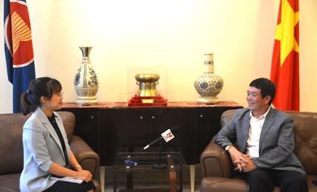 Vietnam to further contribute to strengthening ASEAN solidarity: ambassador hinh anh 1
