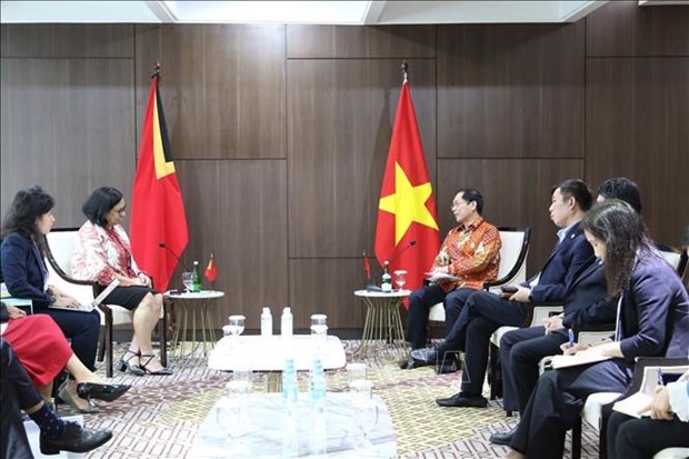Vietnam to help Timor Leste soon become official member of ASEAN: FM hinh anh 1