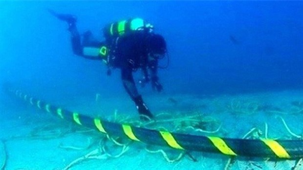 Vietnam needs at least 2-3 more undersea cable routes: official hinh anh 1