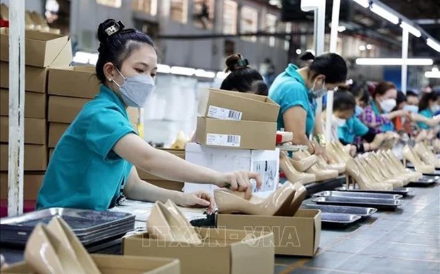 HCM City attracts workers in service, industrial sectors hinh anh 1