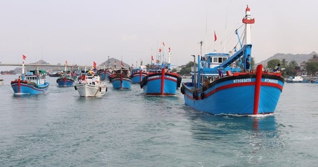 Quang Nam fishermen pledge to implement regulations against IUU fishing hinh anh 1