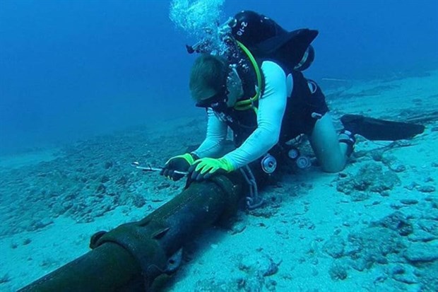 Repairs for undersea internet cables to last from March to April hinh anh 1