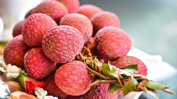 Vietnamese fruits hold lion’s share in Australian market hinh anh 1