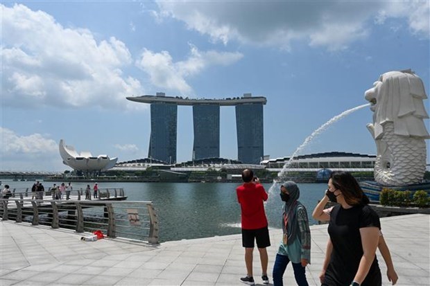 Singapore eases travel restrictions related to COVID-19 hinh anh 1