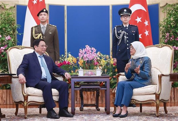 Prime Minister meets Singaporean President hinh anh 1