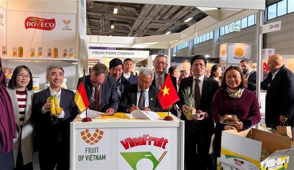 Vietnamese fruits promoted at Berlin exhibition hinh anh 2