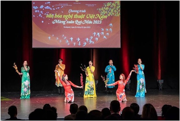 OVs in Hungary celebrate Lunar New Year hinh anh 1