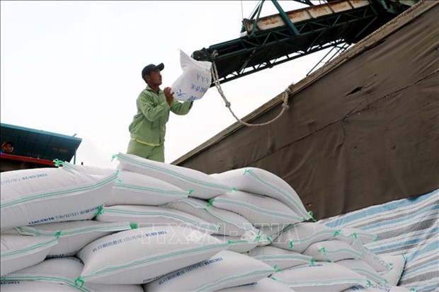Vietnam’s rice exports predicted to drop in 2023 hinh anh 1
