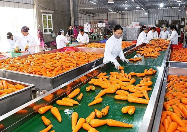 Processed fruits, vegetables enter one-billion-USD export club hinh anh 1