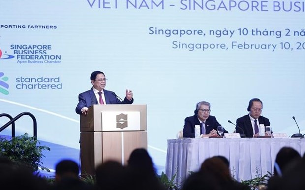 Prime Minister attends Vietnam – Singapore business forum hinh anh 1