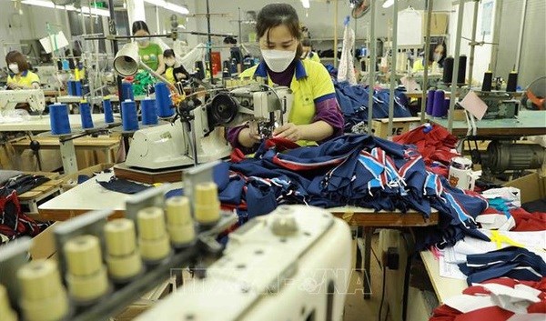 Garment firms prepare workforce to fulfil orders as market recovering hinh anh 1