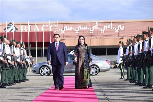 Foreign Minister: PM’s visits to Singapore, Brunei successful hinh anh 1