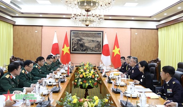 Vietnam, Japan ground self-defence forces boost ties hinh anh 1