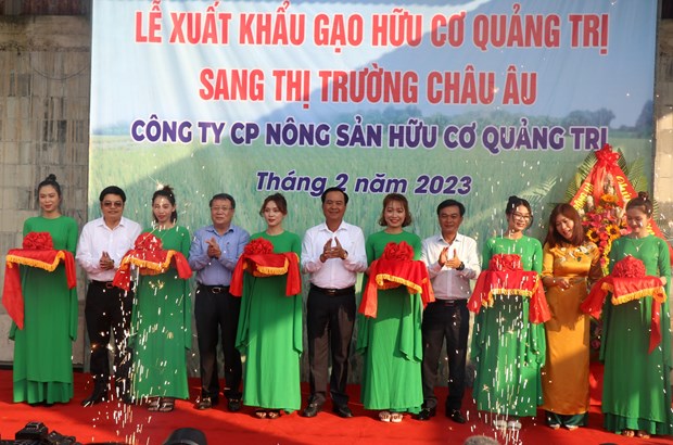 First batch of Quang Tri organic rice exported to EU hinh anh 1