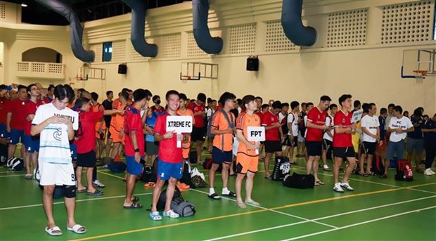 Sport events help connect Vietnamese people in Singapore hinh anh 1