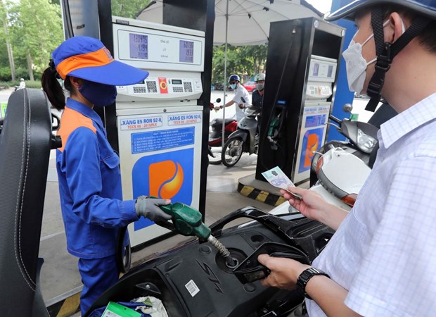 Petrol prices up, oil rices down in latest adjustment hinh anh 1