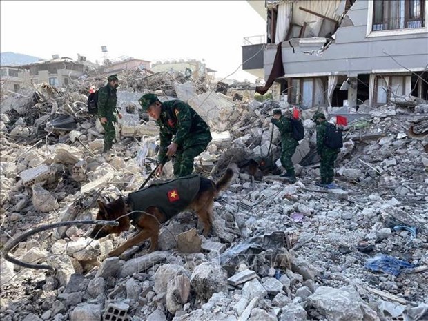 Vietnam announces 200,000 USD aid to Turkey, Syria after earthquake hinh anh 1