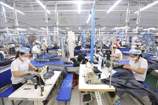 Apparel makers seek ways to overcome difficulties ahead hinh anh 1
