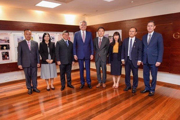 Vietnam views Brazil as important partner in South America: ambassador hinh anh 1