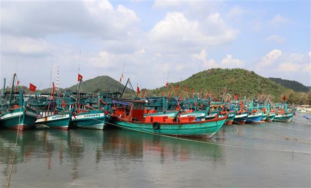 Vietnam issues plan of action, strives to put end to IUU fishing hinh anh 1