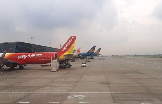Authorities to inspect transport business licences of domestic airlines hinh anh 1